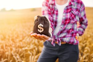 Read more about the article Kredyty dla rolników – Wsparcie finansowe dla rozwoju rolnictwa